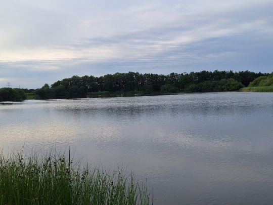 Jalmer See-4