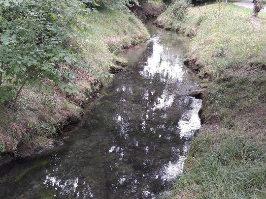 Hachinger Bach