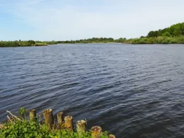 Sarzbütteler Moor-1