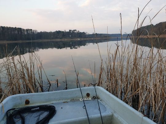 Pinnower See (Schenkendöbern)-1