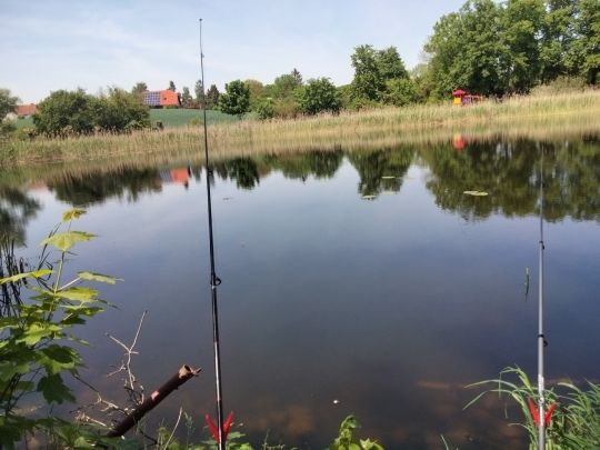 Dorfteich Polßen-2