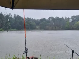 Unterer Ziegeleiteich (Muldenstein)