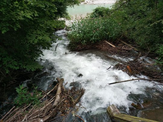 Freilassinger Mühlbach-2