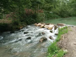 Freilassinger Mühlbach-0