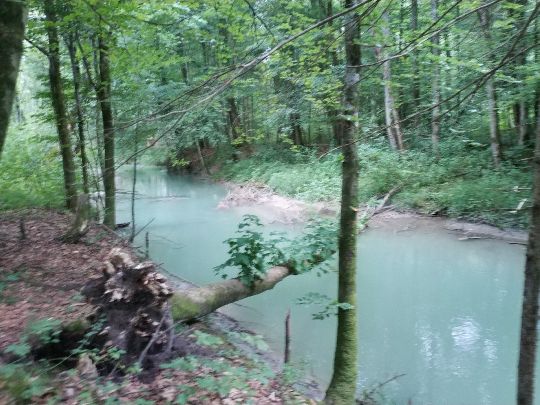 Freilassinger Mühlbach-1