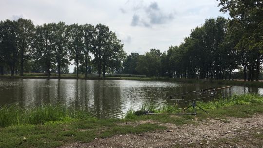 Angelteich Quolsdorf-4