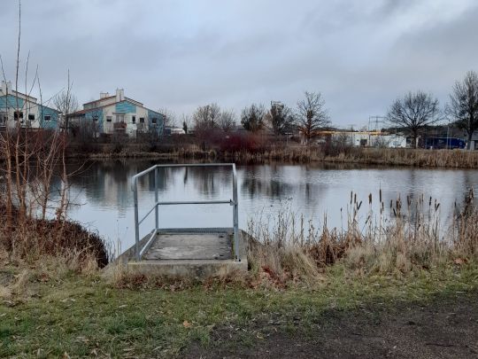 Teich an der Lerchenbreite-4