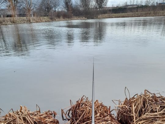 Teich an der Lerchenbreite-1