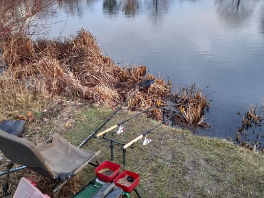 Teich an der Lerchenbreite angeln