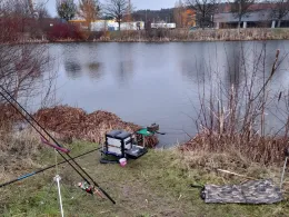 Teich an der Lerchenbreite