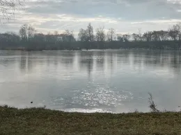 Buschelbergsee (Nersinger See)