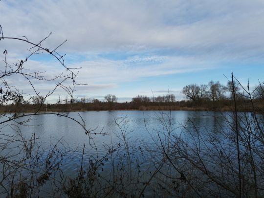 Buschelbergsee (Nersinger See)-2