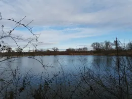 Buschelbergsee (Nersinger See)-2
