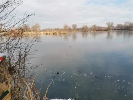 Buschelbergsee (Nersinger See)-1