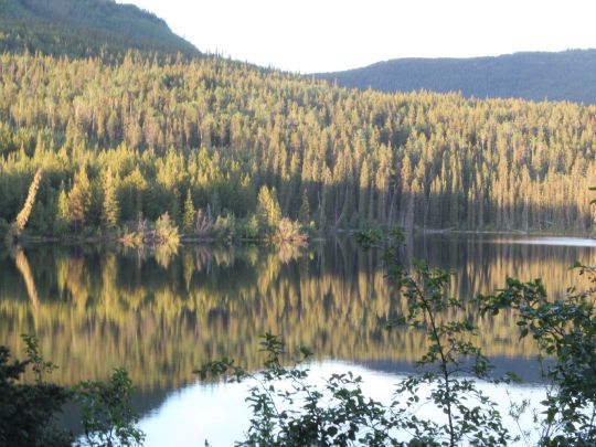 Big Salmon Lake (Yukon Territory)-1