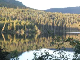 Big Salmon Lake (Yukon Territory)-1