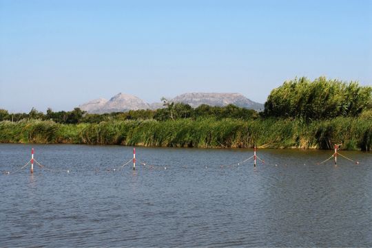 Basses d‘en Coll-1