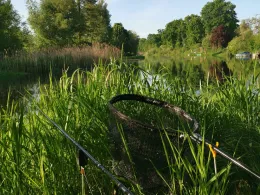 Havel (Oranienburg)-3