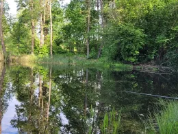 Faberteich (Simmersdorf)