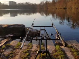 Moosweiher (Freiburg)