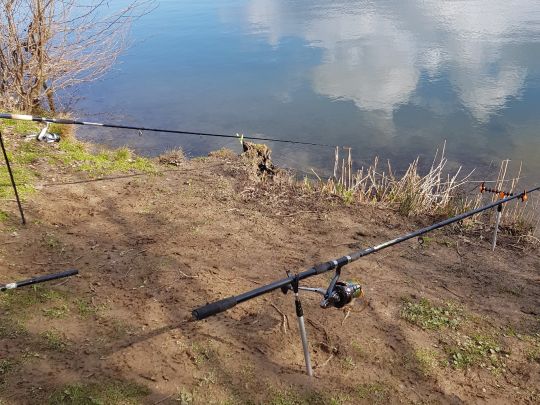 Moosweiher (Freiburg)-4