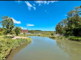 Zur glücklichen Forelle (Marsberg)