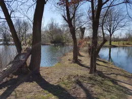 Kleiner Badesee (Grafenrheinfeld)