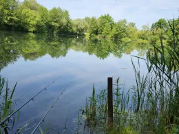 Kleiner Badesee (Grafenrheinfeld)-4