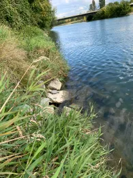 Isar 2 (Dingolfing)-2