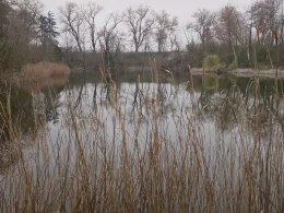 An den Kuhlöchern (Artern/Unstrut)