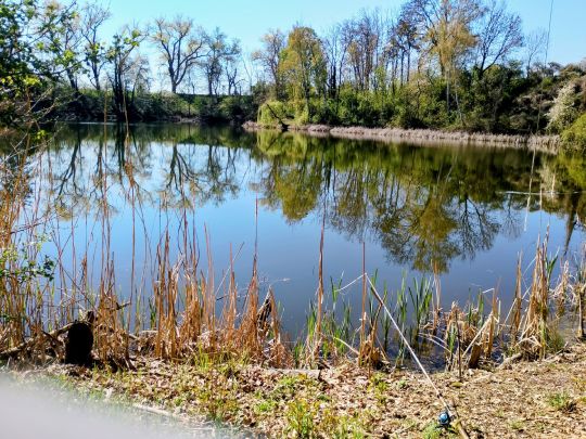 An den Kuhlöchern (Artern/Unstrut)-1