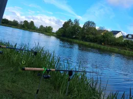 Karpfenteich Tauperlitz