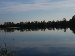 Niederstimmer Weiher