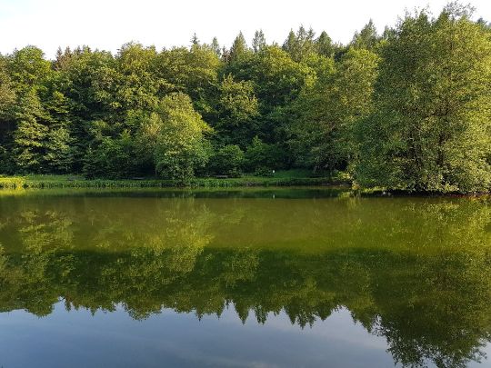 Himmelsteich (Heringen) angeln