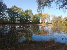 Staubecken Waldesruh-4