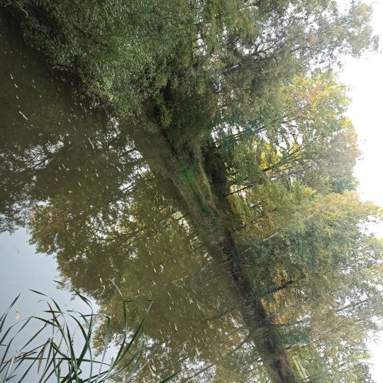 Staubecken Waldesruh-3