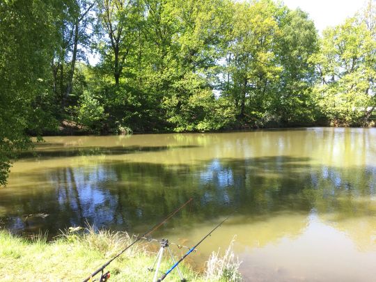 Staubecken Waldesruh-1