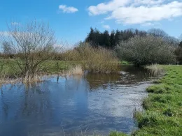 Treene (Eggebek-Langstedt)-2