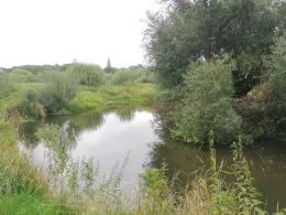 Treene (Eggebek-Langstedt)