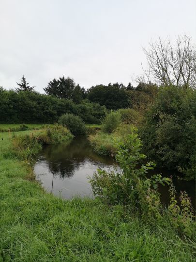 Treene (Eggebek-Langstedt)-1