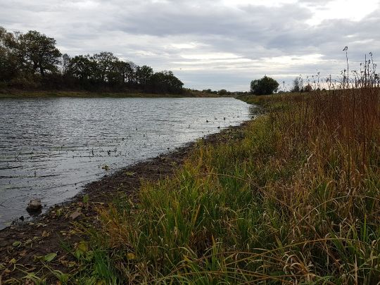 Zollau (Glindenberg)-2