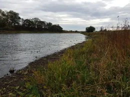 Zollau (Glindenberg)-2