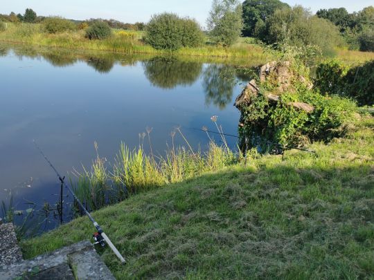 Alte Leine (Ahlden)-2