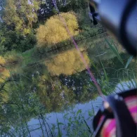 Alte Leine (Ahlden)-1