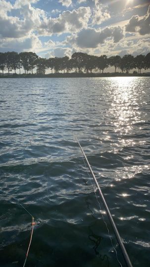 Kraaijenbergse Plassen-1