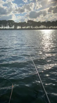 Kraaijenbergse Plassen-1