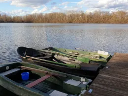 Volkscher Weiher (Brühl)