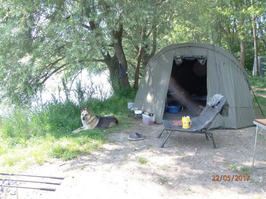 Maierteich (Gosdorf)-2