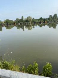 Étang du Welschhof-4