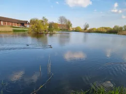 Schwanenteich (Demmin)